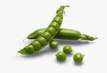 Sugar Snap Peas Png, Transparent Png - kindpng